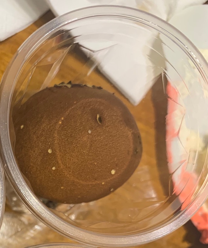 粟粒皮秃马勃参照种