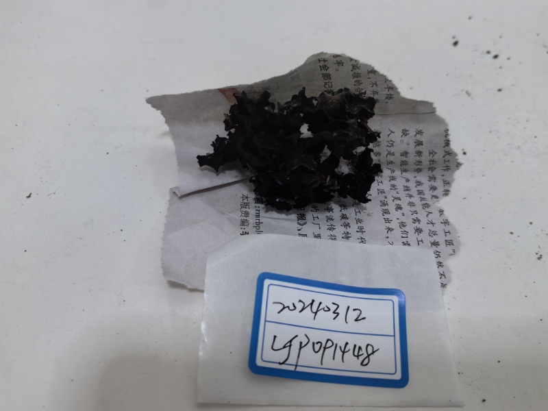 暗褐银耳属一种