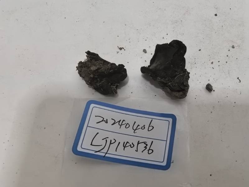 窄孢胶陀螺盘菌